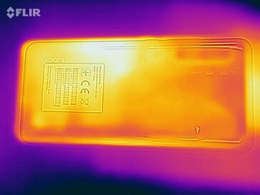 Heat map back