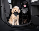 Tesla Köpek Modu bandanası
