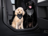 Tesla Köpek Modu bandanası