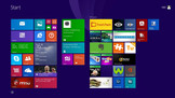 Microsoft Windows 8.1 (64-bit) önceden yüklenmiş.