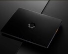 Framework Laptop 13 Pro, kendin yap (DIY) veya hazır bir bilgisayar olarak satın alınabilir.