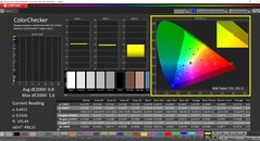 CalMAN ColorChecker kalibre edildi (Hedef Renk Alanı: P3)