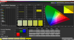 CalMAN Saturation