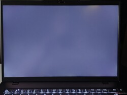 Arka ışık kanaması (burada geliştirilmiş olarak gösterilmiştir)