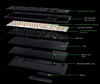 BlackWidow V4 HyperSpeed TKL iç yapısı (Görsel kaynağı: Razer)