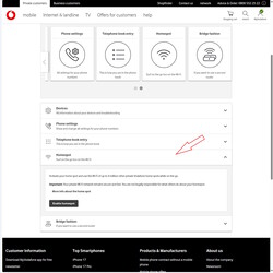 Homespot'u devre dışı bırakın