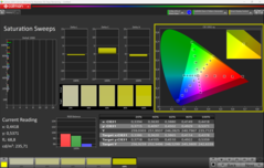 CalMAN Doygunluk Taramaları kalibre edildi