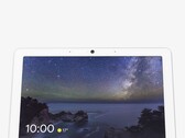 Google'ın söylentilere göre Home Display'i Nest Hub Max'in halefi olabilir (resimde)