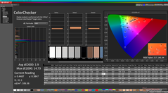 Kalibrasyondan sonra ColorChecker