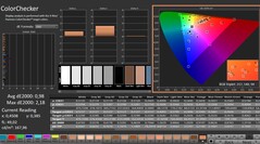 Calman: ColorChecker (kalibre edilmiş)