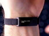 Jaye Band şu anda Kickstarter üzerinden fon topluyor.