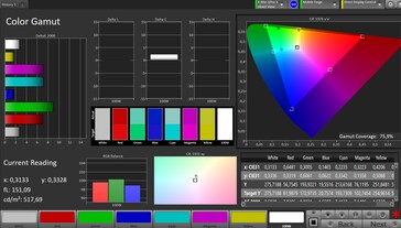 CalMAN renk uzayı AdobeRGB