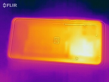 Thermal image back