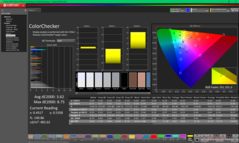 Kalibrasyondan önce ColorChecker (P3'e karşı)