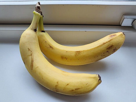 Ana kamera ile kayıt