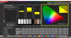 CalMAN ColorChecker (Profil: sRGB, Hedef Renk Alanı: sRGB)