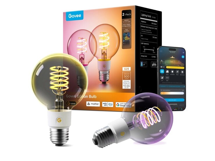 Govee E26 Akıllı Edison Ampul G25