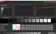 Gri Tonlama (Renkler: Normal, Renk sıcaklığı: Standart, Hedef renk alanı: sRGB)