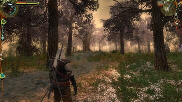 Görselde: The Witcher: Enhanced Edition Director's Cut oyunundan bir oynanış ekran görüntüsü.