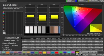 CalMAN: Renk doğruluğu (ColorChecker)