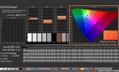 CalMAN: Renk doğruluğu (ColorChecker) (kalibre edilmiş)