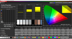 CalMAN ColorChecker (target color space P3)