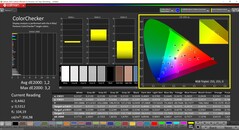 CalMAN ColorChecker (Profil: P3, Hedef Renk Alanı: P3)