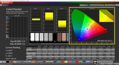 CalMAN ColorChecker (profil: doğal, hedef renk uzayı: P3)