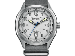 The Citizen Terra Force AW1890-01A 
