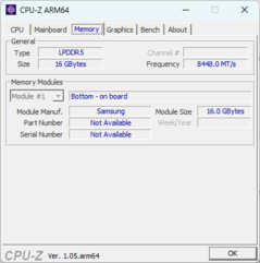 CPU-Z Bellek