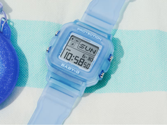 Casio BGD10KG-2 (resimde gösterilen)