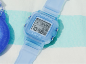 Casio BGD10KG-2 (resimde gösterilen)