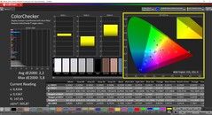 CalMAN ColorChecker (profil: varsayılan, hedef renk uzayı: P3)