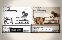 30 yıl sonra gerçek nihayet ortaya çıkar - Pidgey güvercin kostümü giymiş bir kedidir.