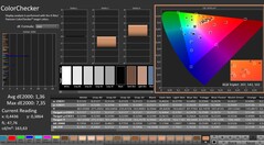 CalMAN: ColorChecker (kalibre edilmiş)