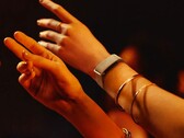 Google, Fitbit Air'de antrenman algılamasını iyileştiriyor.