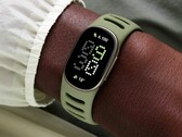 Fitbit Edge, Fitbit Air ile Pixel Watch arasındaki boşluğu dolduruyor.