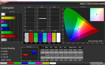 CalMAN Color Space (sRGB Target Color Space) - Profile: Warm