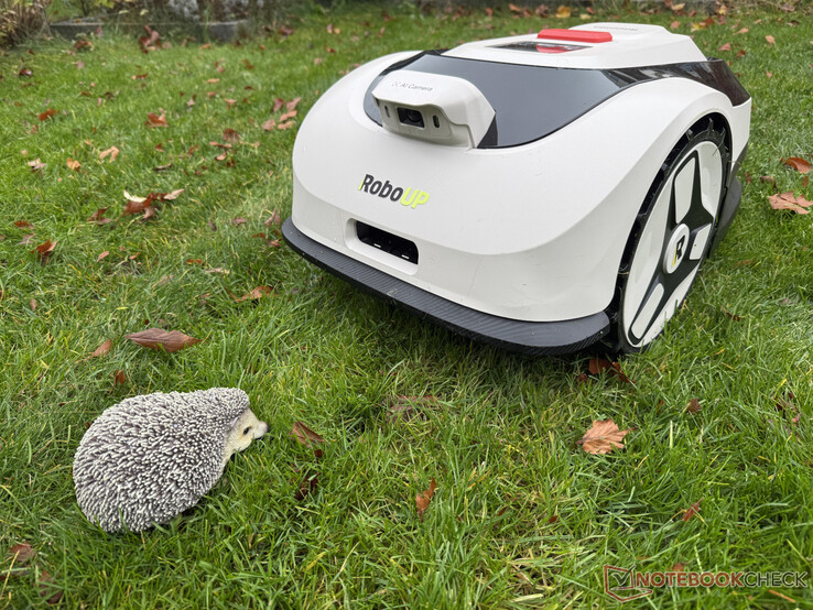 Raccoon 2 SE testte kirpi mankenimizi her zaman tanımadı