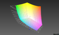 vs. AdobeRGB: 73.8 % (Argyll 3D comparison)