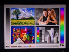 Geniş OLED görüş açıları