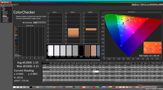 ColorChecker (sRGB'ye karşı)