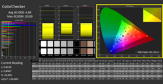 CalMAN - Color Checker (calibrated)