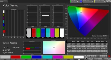 CalMAN: sRGB Renk Alanı