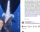 GatorChris bir videoda balinaların bu şekilde emzirmediğini açıklıyor