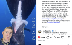 GatorChris bir videoda balinaların bu şekilde emzirmediğini açıklıyor