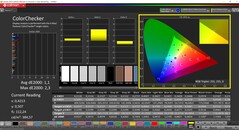 CalMAN ColorChecker kalibre edildi