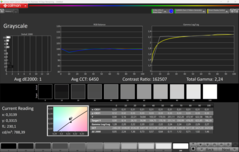 CalMAN gri tonlama kalibre edildi