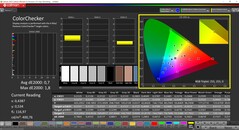 CalMAN ColorChecker (profil: Ekran P3, hedef renk uzayı P3)