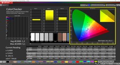 CalMAN ColorChecker (profil: Native, hedef renk uzayı: P3)